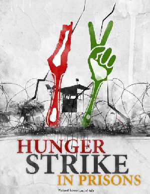 hunger strike-IMEMC