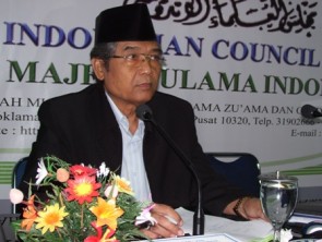 Hasanuddin AF: MUI Tidak Akan Fatwakan Tentang Syiah