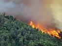 Kebakaran Hutan di Kanada, 24 Ribu Orang Dievakuasi