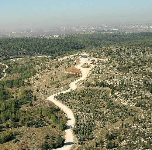 Amnesti Internasional Palestina Minta Israel Batalkan Rencana Hancurkan Desa Umm Al-Hiran