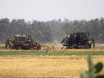 Tentara Israel Serang Lahan Pertanian di Rafah