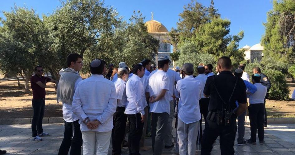Laporan: 994 Orang Yahudi Serbu Masjid Al-Aqsha sejak Awal Juni