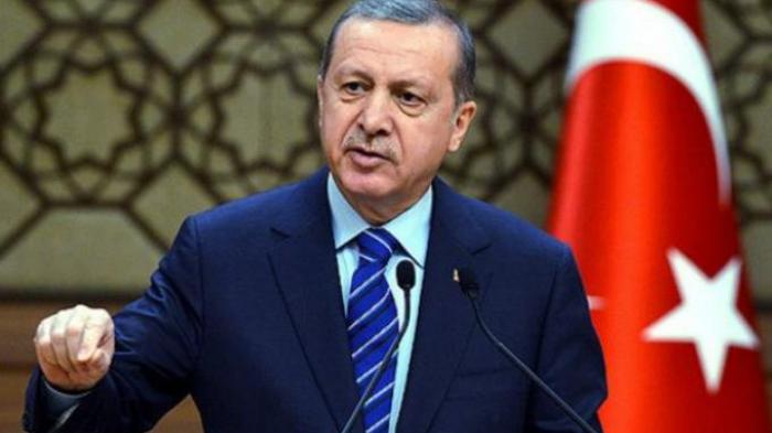 Erdogan: Pelaku Kudeta Adalah Pengkhianat Negara