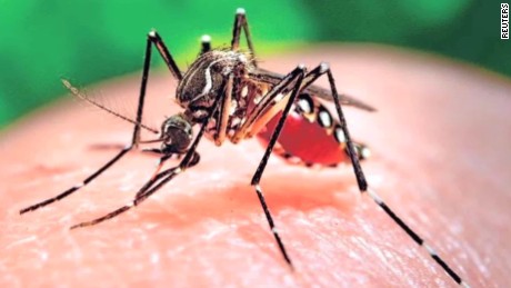 Satu WNI di Singapura Terjangkit Virus Zika