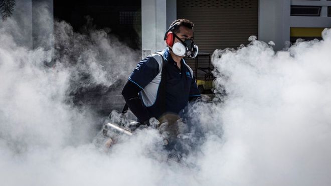 WHO: Virus Zika Berpotensi Menyebar di Seluruh Penjuru Asia