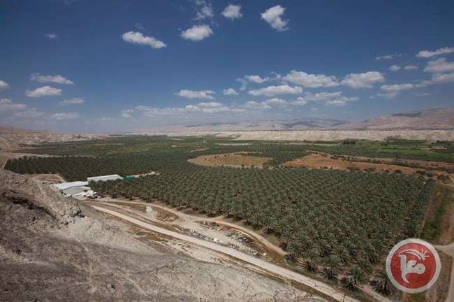 Pasukan Israel Sita Dua Traktor dan Truk Pertanian Warga Palestina
