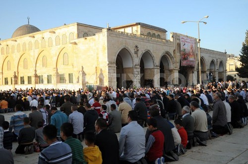 Hampir 100 Orang Barat Masuk Islam di Masjid Al-Aqsha