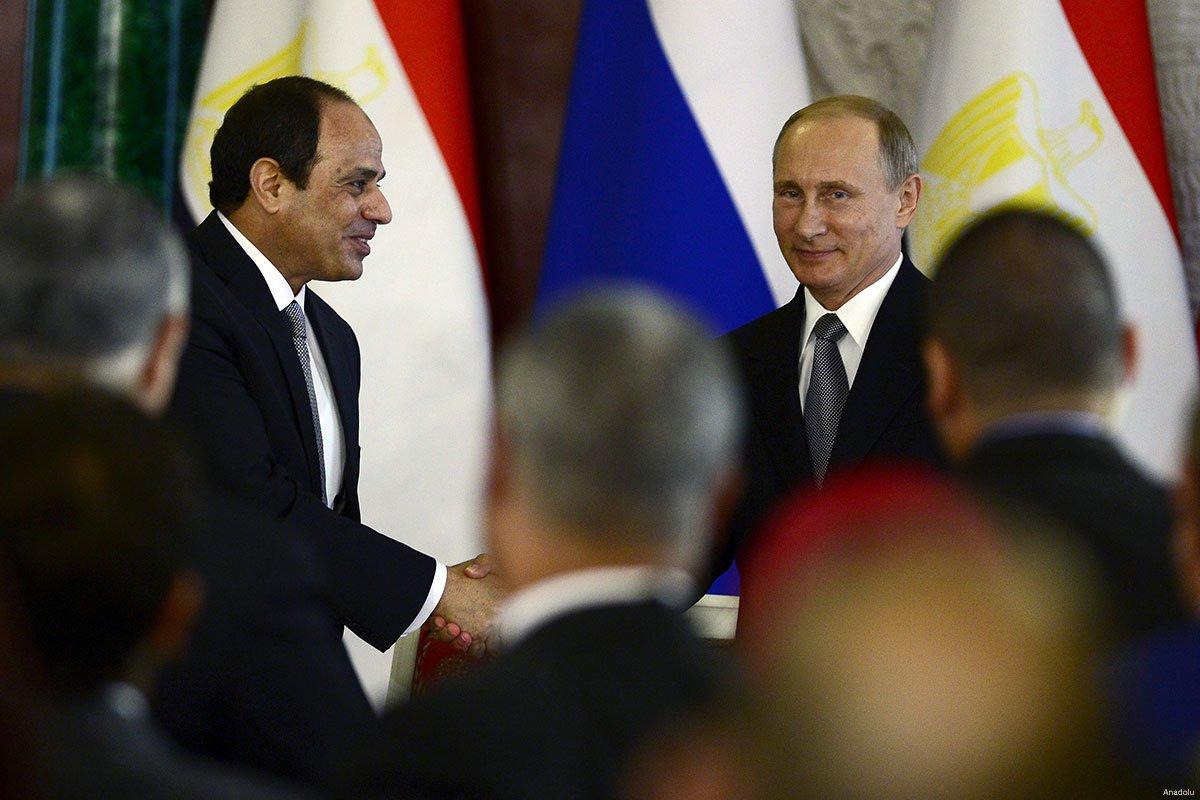 Mesir Krisis Gandum, Impor dari Rusia dan Ukraina