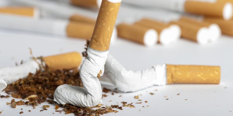 Dorong Ratifikasi FTCT, Kemenkes RI: Pengendalian Tembakau Perlu Keterlibatan Semua Pihak