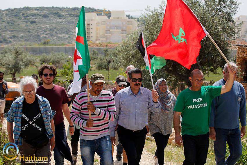 Aktivis Israel Ikut Demo Hari Bumi Palestina
