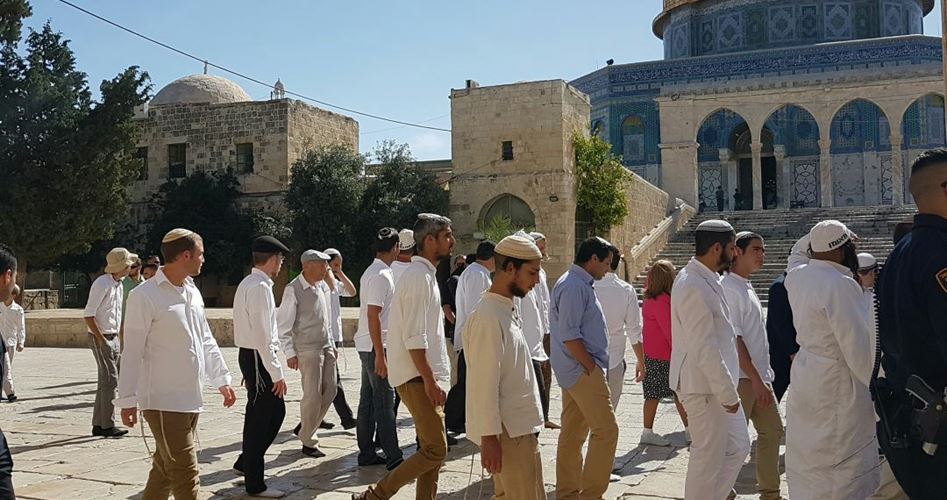 Sebanyak 533 Pemukim Yahudi Serbu Al-Aqsha dalam Dua Hari Terakhir