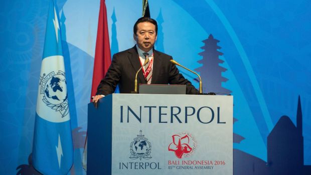 Presiden Interpol Serukan Persatuan Hadapi Serangan Siber