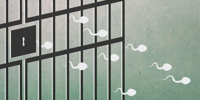 50 Bayi Palestina Lahir dari Sperma yang Diselundupkan