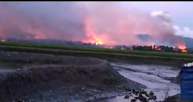 HRW: 40 Desa Rohingya Terbakar Sejak Oktober