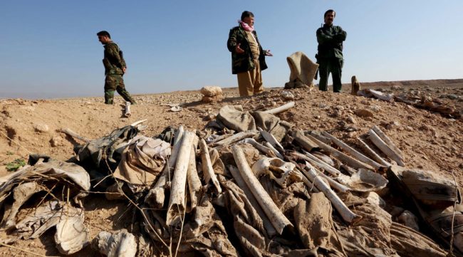 Kuburan Massal 40 Anggota ISIS Ditemukan di Dekat Tal Afar