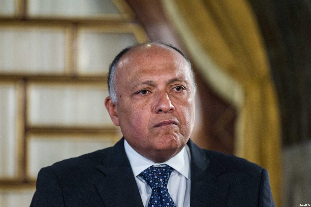 Presiden Mesir Kirim Menlu Tengahi Krisis Lebanon