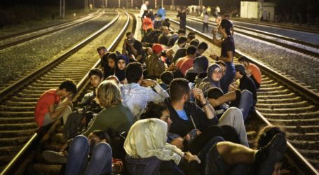 Denmark Pilih Keluar dari Program Terima Pengungsi