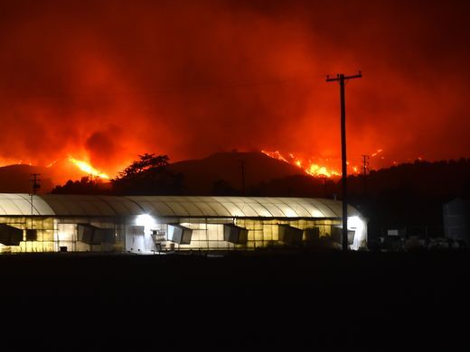 Kebakaran Besar Landa California, Ratusan Ribu Dievakuasi