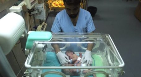 Operasi Pemisahan Bayi Kembar Siam dari Gaza Berhasil