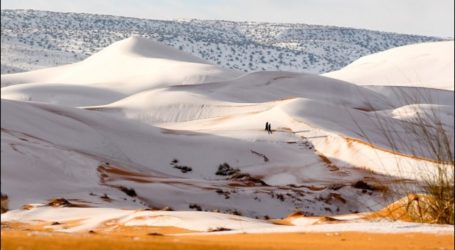 Salju Langka Tutupi Gurun Sahara