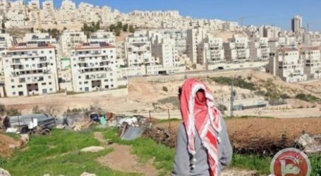 Untuk Kedua Kalinya, Pemukim Israel Serang Petani Palestina di Hebron