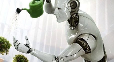 Penelitian: Robot Mulai Ambil Alih Pekerjaan Sehari-hari