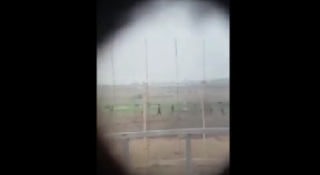 IDF Periksa Video Pasukan Bersorak Saat Sniper Tembak Mati Warga Palestina