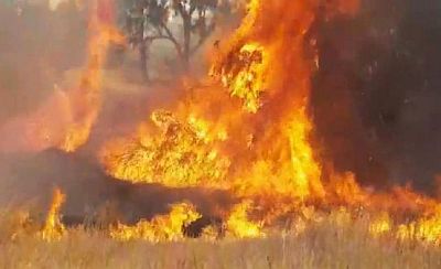 Dalam Dua Bulan, Lebih dari 250 Kebakaran Terjadi di Selatan Israel