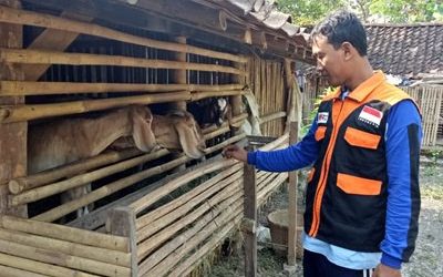Ternak Desa Berdaya Binaan Rumah Zakat Berkembang Pesat