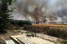 Kebakaran Terjadi di 27 Titik Lahan Perbatasan Gaza