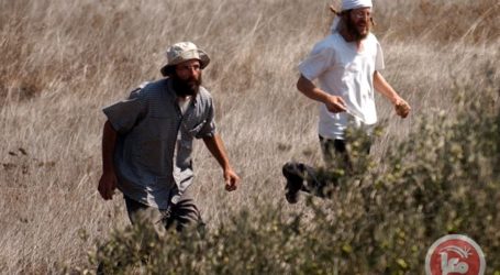Pemukim Israel Serang Petani Palestina Dekat Nablus