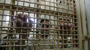 30 Tahun Dipenjara Israel, Tahanan Palestina Bebas