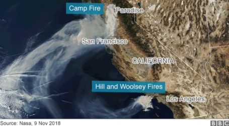 Kebakaran Hutan California: Korban Tewas Meningkat 25 Orang