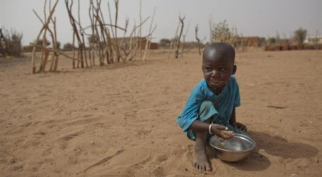 UNICEF: 1 Miliar Anak Berisiko Sangat Tinggi Terkena Dampak Perubahan Iklim