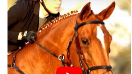 Gadis 15 Tahun Palestina Juara Berkuda Internasional di Bahrain