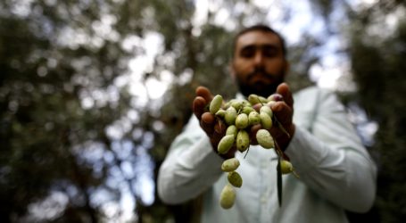 Pejabat Senior Fatah Serukan Boikot Balik Produk Pertanian Israel
