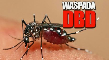 Seluruh Daerah Diminta Siaga Demam Berdarah Dengue