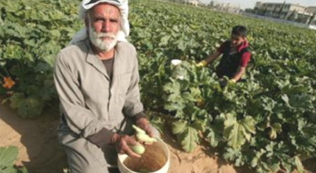 Uni Eropa Bantu Petani Palestina Atasi Dampak Pendudukan Israel