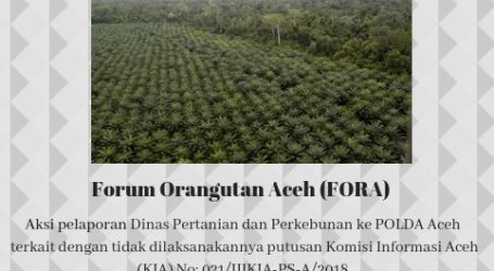 Forum Orangutan Aceh Laporkan Dinas Pertanian dan Perkebunan Terkait Sengketa Informasi
