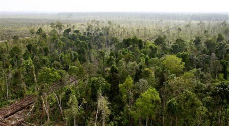 Hutan Rawa Gambut Tripa Hanya Tersisa 5.000 Hektare