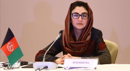 PBB Pilih Utusan Afghanistan Jadi Wakil Presiden Komite Palestina
