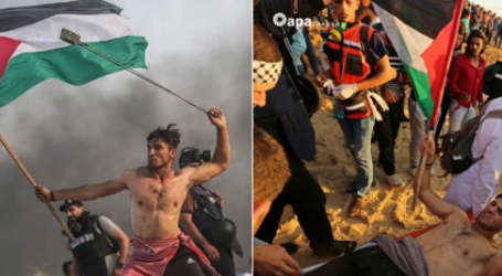 Satu Warga Palestina Gugur, Puluhan Luka di Masa Gencatan Senjata