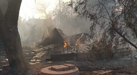 40 Rumah Warga Israel Dilalap Api
