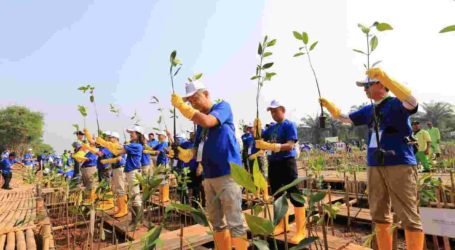 Pulihkan Kawasan Pesisir, Pemprov DKI dan Elemen Masyarakat Tanam Mangrove