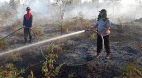 BNPB: Indonesia Alami Puncak Kekeringan Pada Agustus