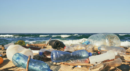 DLH DKI Ajak Masyarakat Kurangi Penggunaan Plastik Sekali Pakai