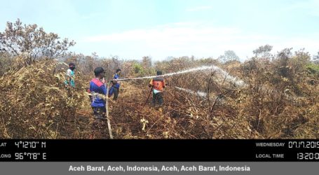 Kebakaran Hutan dan Lahan di Aceh Semakin Bertambah