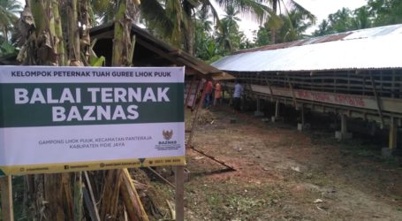 Balai Ternak Baznas Diresmikan di Aceh
