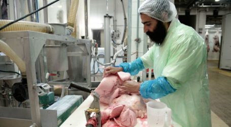 Wilayah Belgia Larang Daging dan Penyembelihan Halal