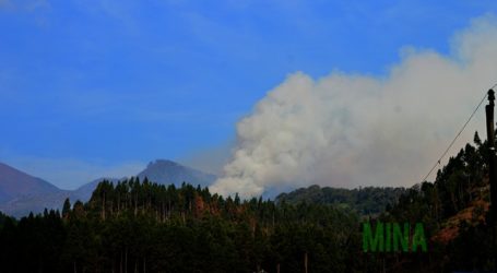 Hutan Lindung Lereng Gunung Slamet Kembali Terbakar